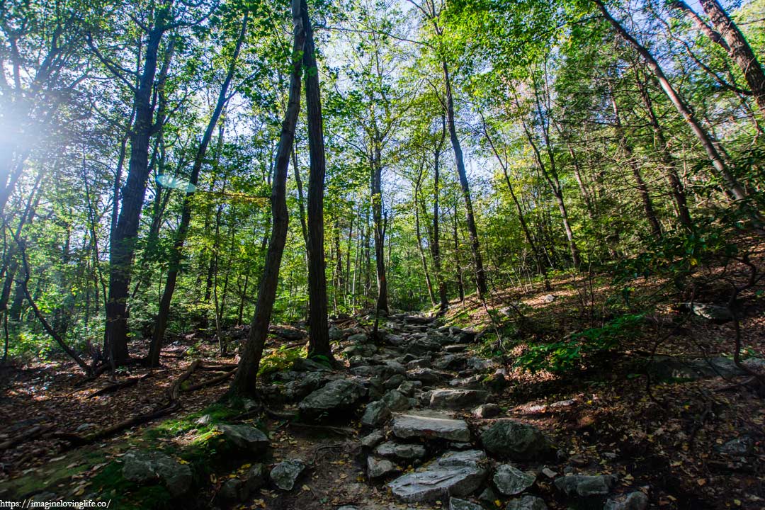 escarpment trail